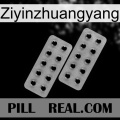 Ziyinzhuangyang 29